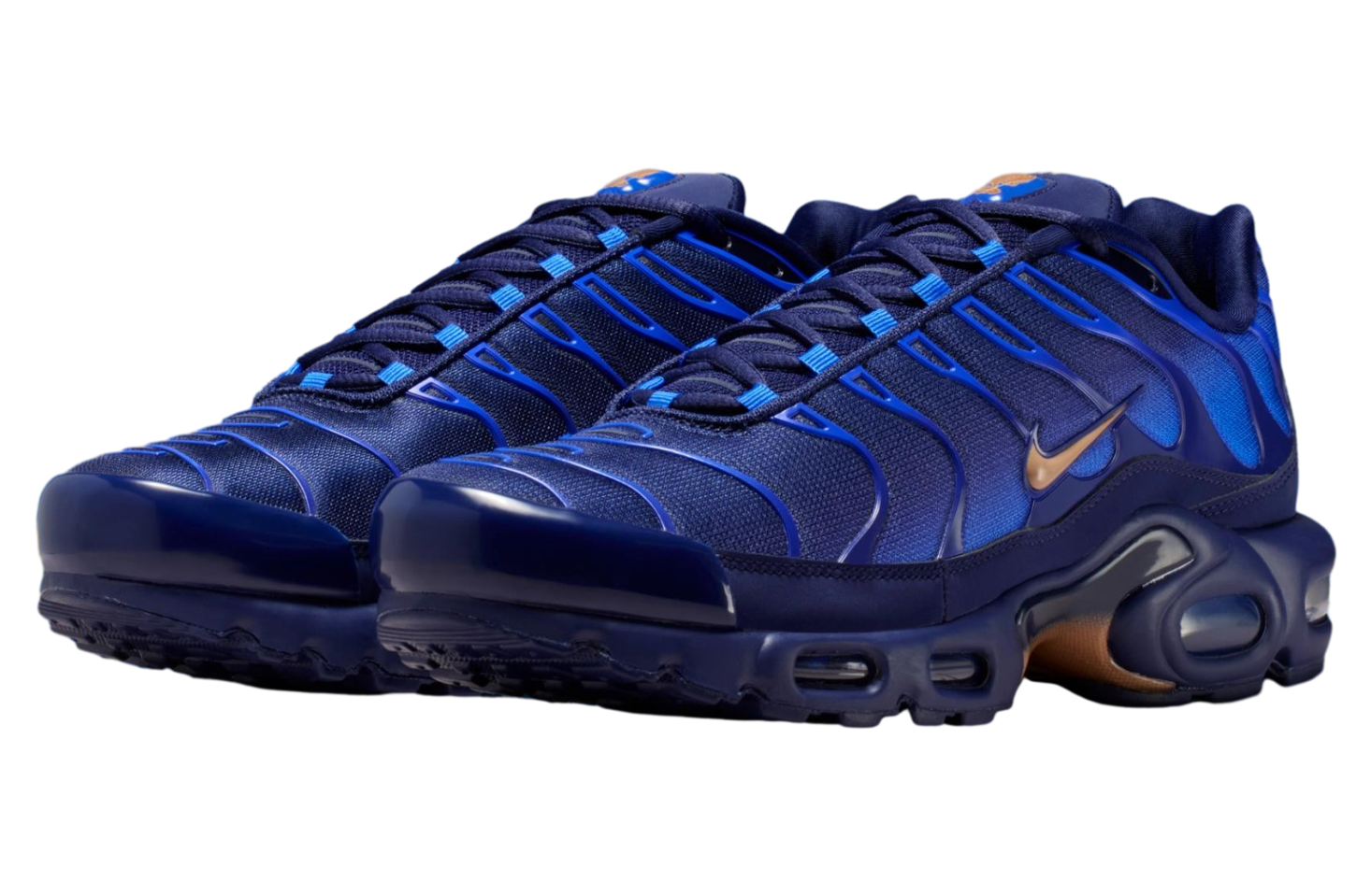 Nike Air Max Plus x French Football Federation