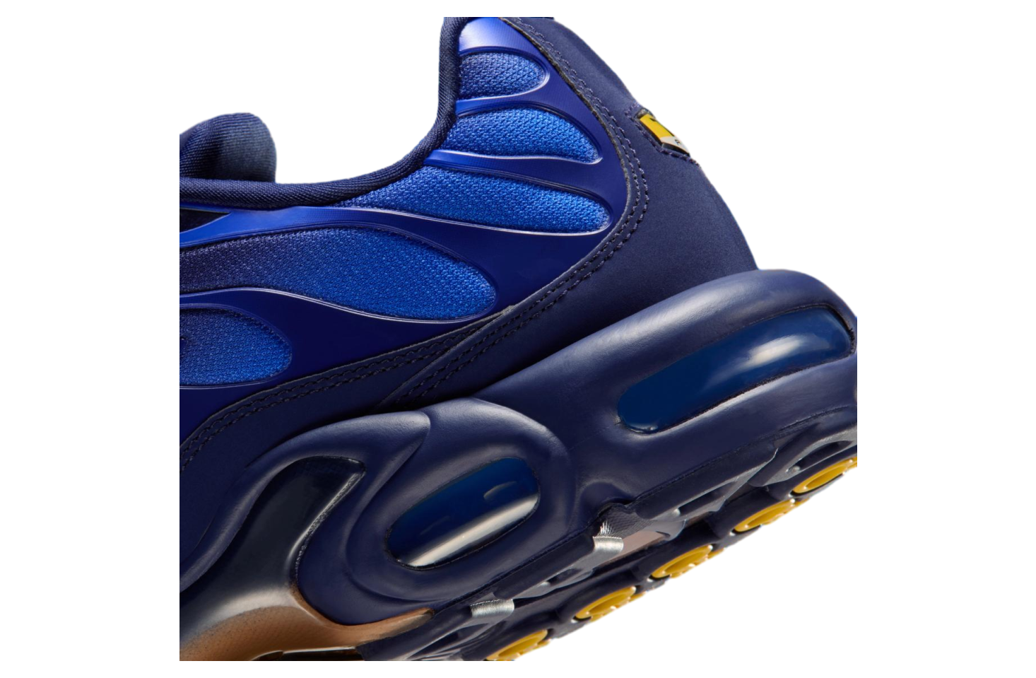 Nike Air Max Plus x French Football Federation