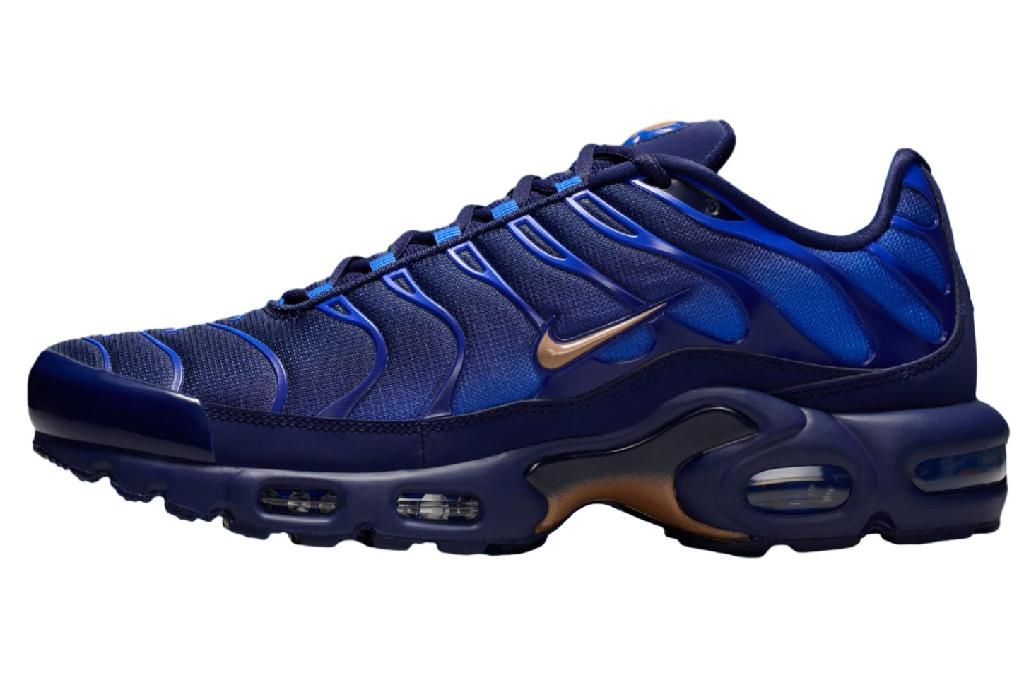 Nike Air Max Plus x French Football Federation