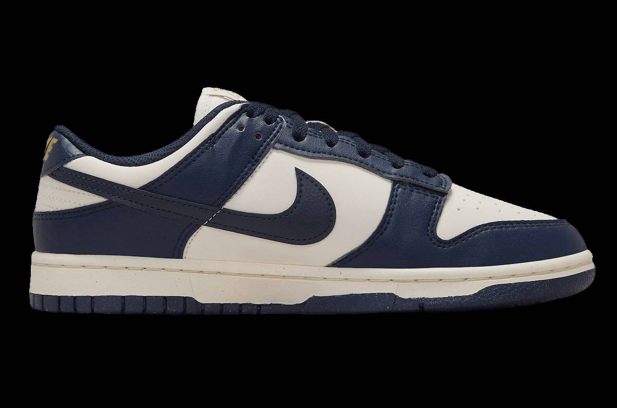 Nike Dunk Low Next Nature Olympic