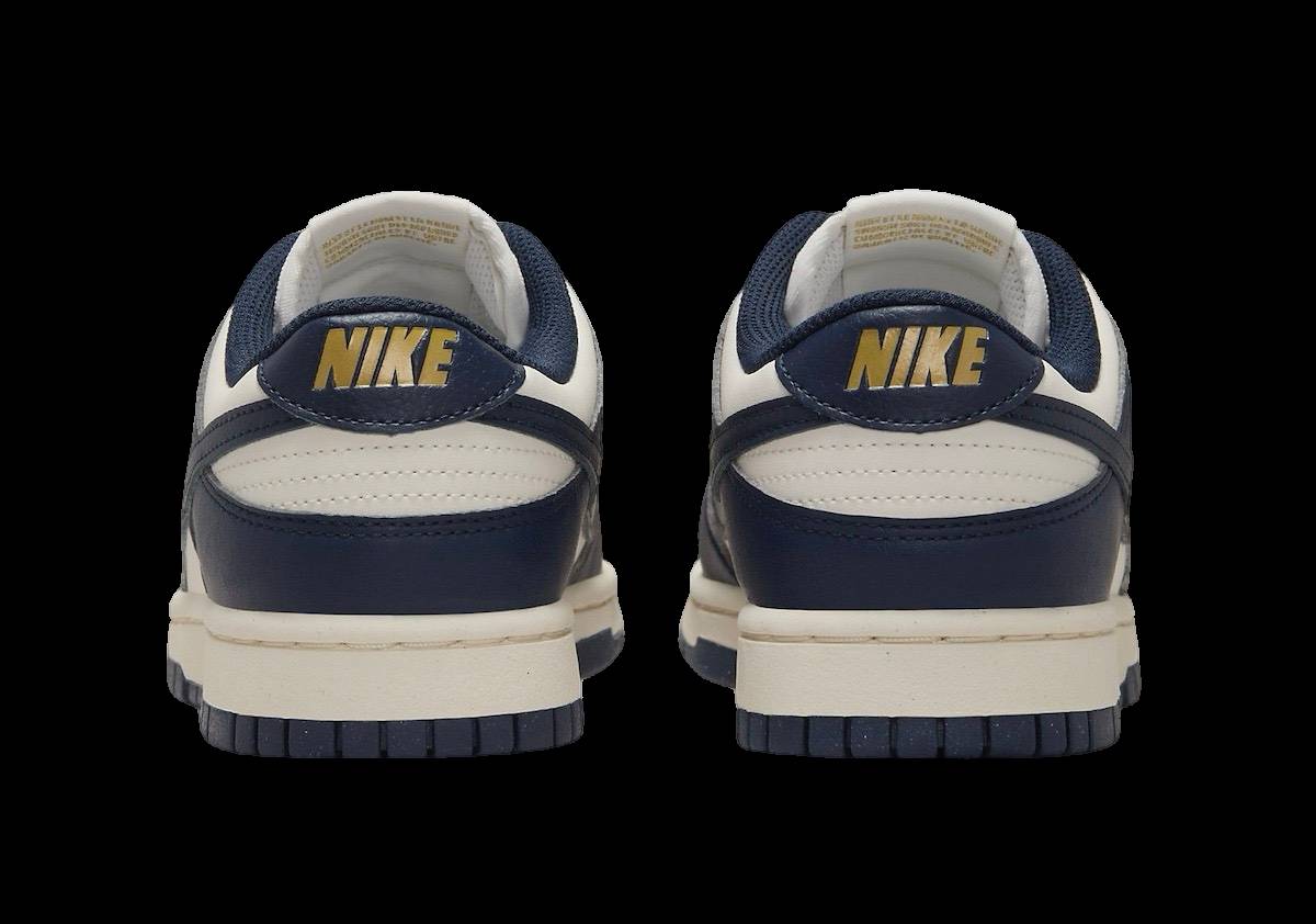 Nike Dunk Low Next Nature Olympic