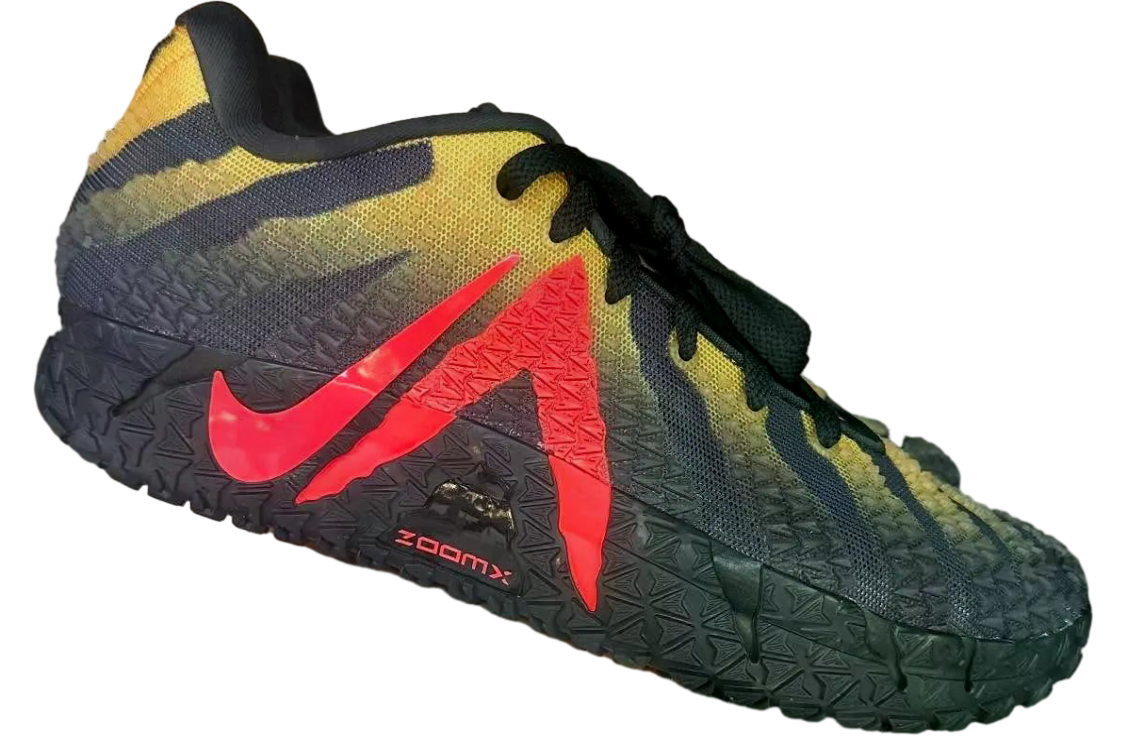 Nike Ja 3 Jurassic Park