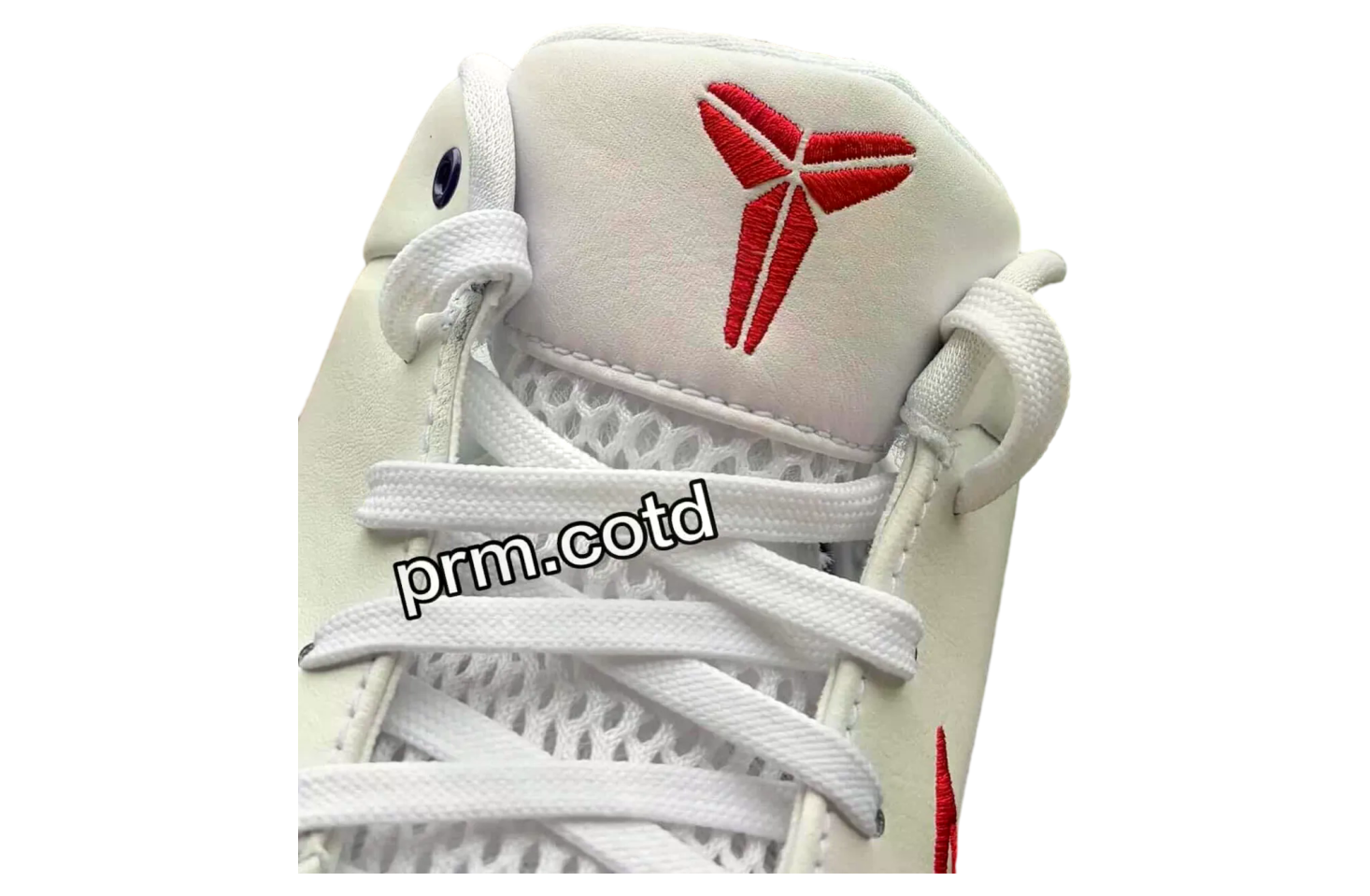 Nike Kobe 4 Protro Toronto Raptors