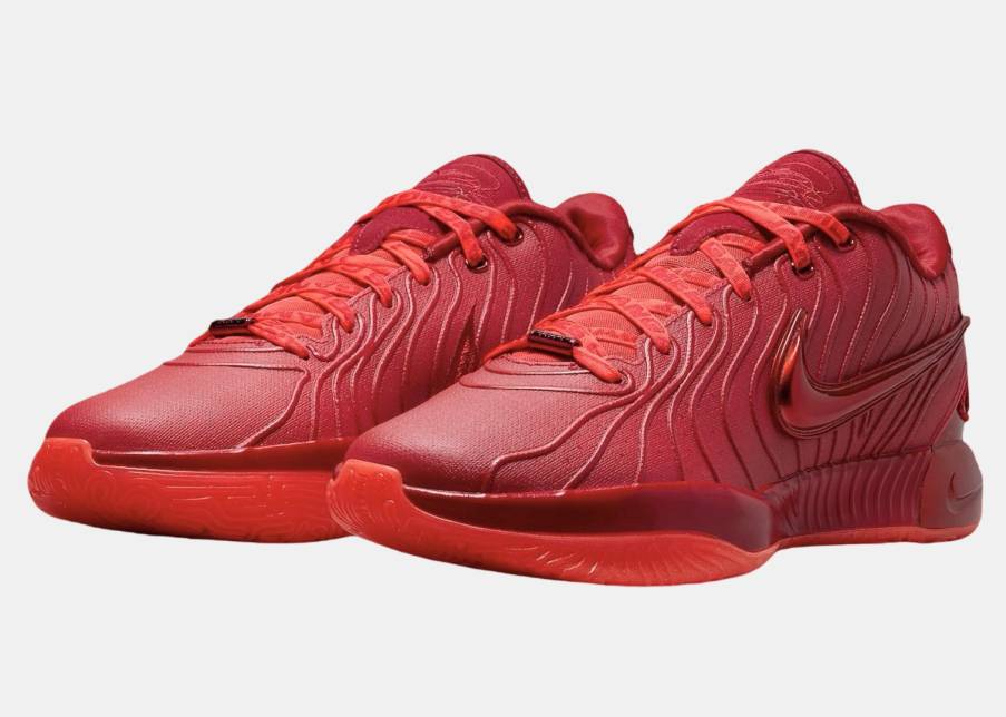 Nike LeBron 21 James Gang