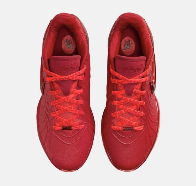 Nike LeBron 21 James Gang