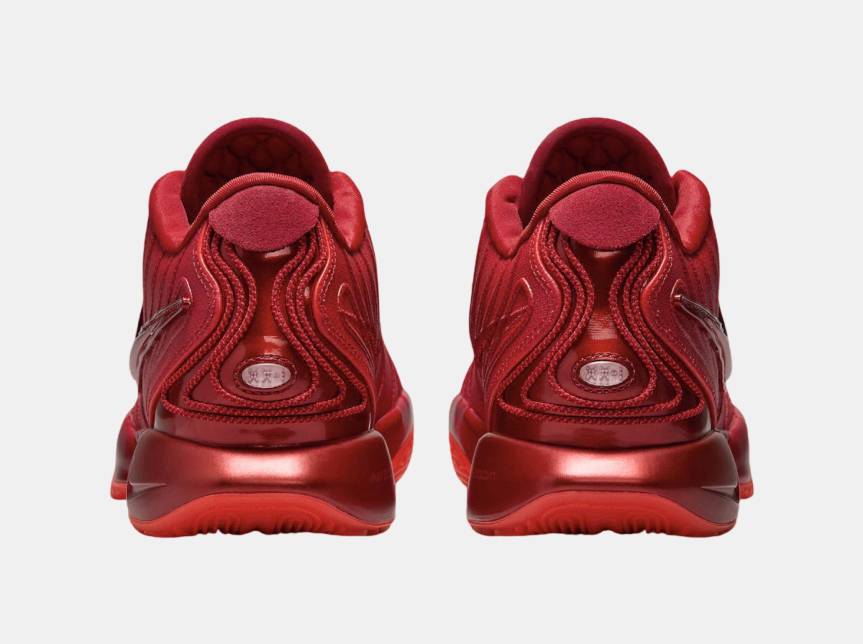 Nike LeBron 21 James Gang