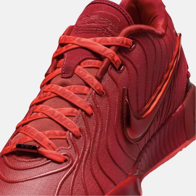 Nike LeBron 21 James Gang
