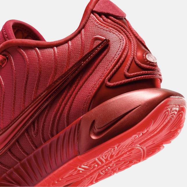 Nike LeBron 21 James Gang