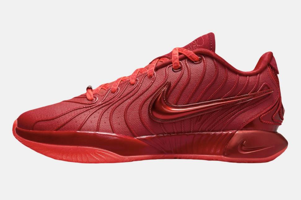 Nike LeBron 21 James Gang