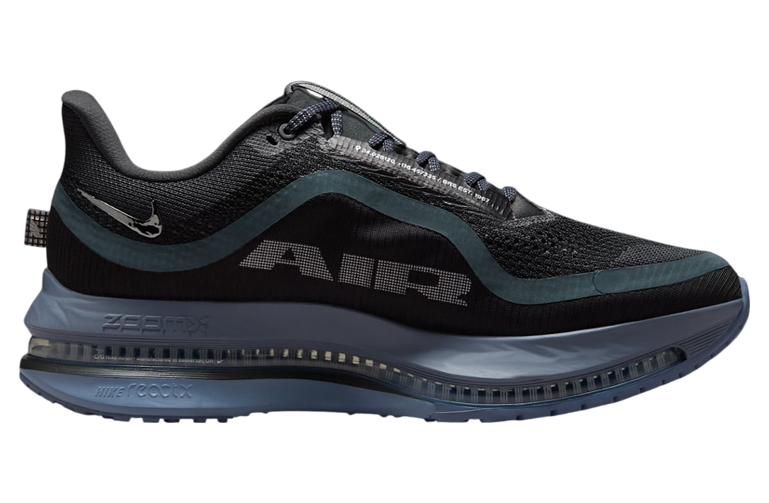 Nike Pegasus Premium Anthracite / Ashen Slate
