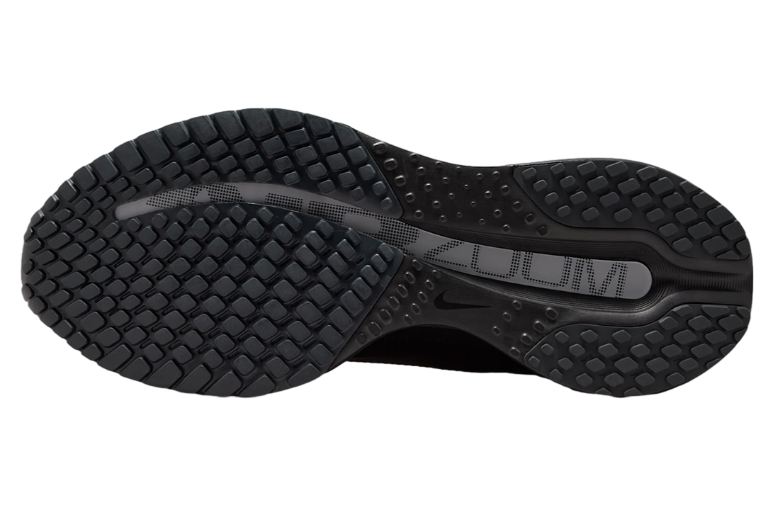 Nike Pegasus Premium Black / Metallic Silver / White