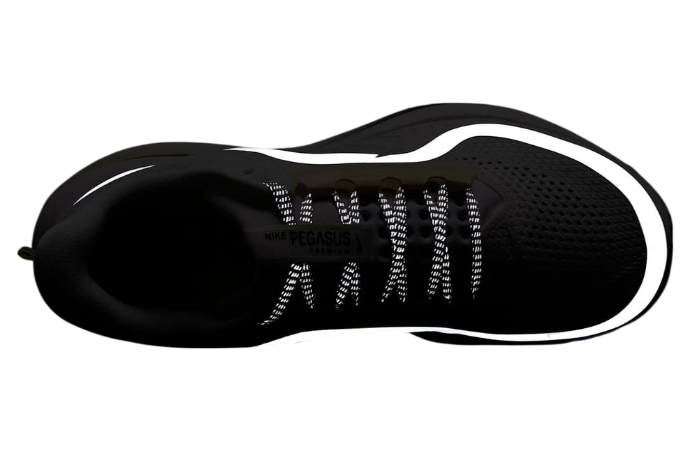 Nike Pegasus Premium Sail / Alabaster
