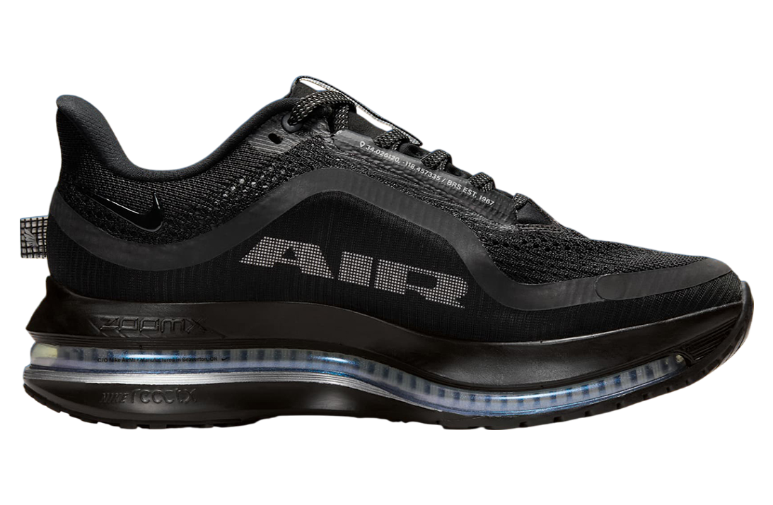 Nike Pegasus Premium WMNS Black / Metallic Silver