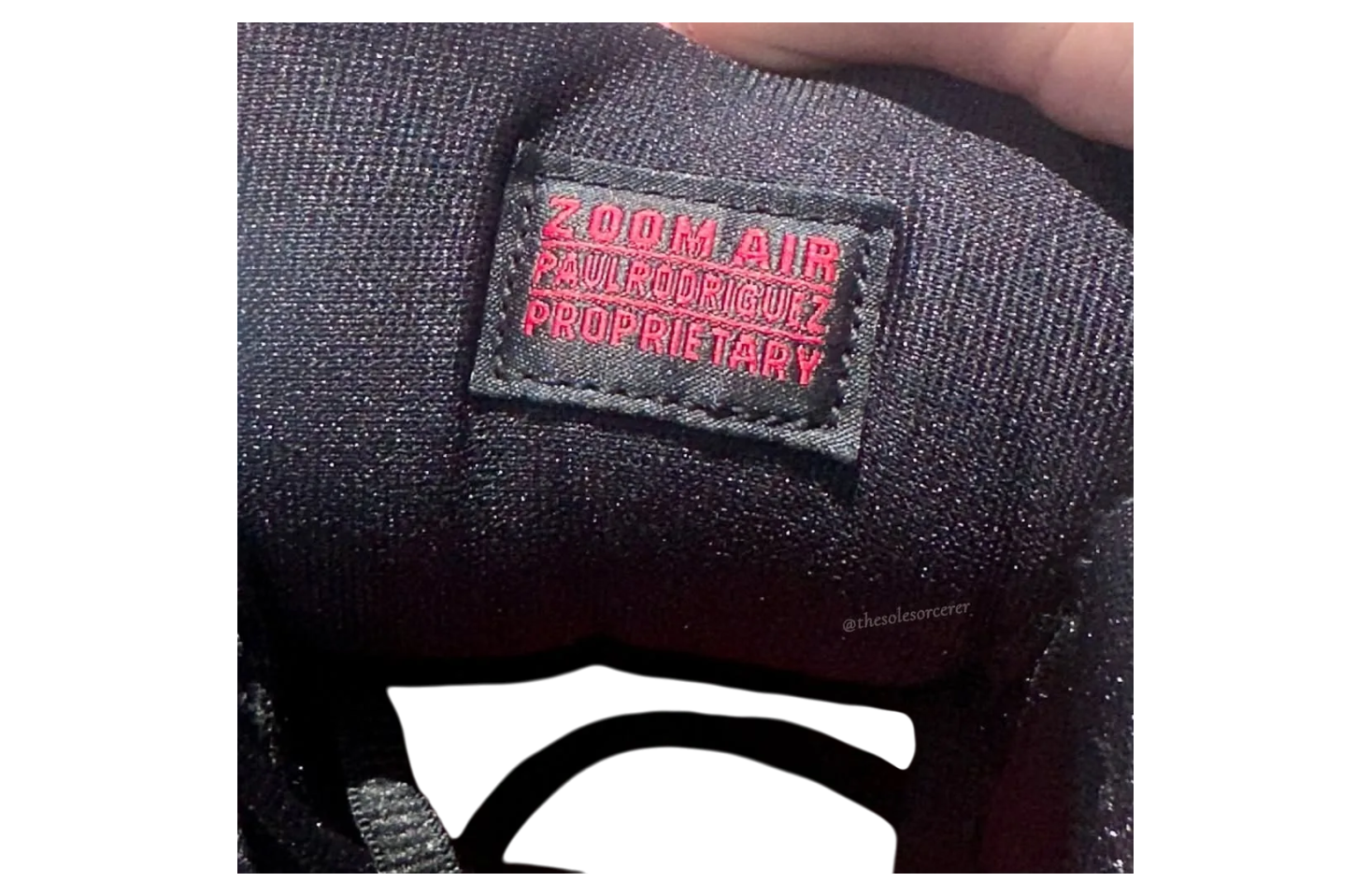 Nike SB P-Rod Bred