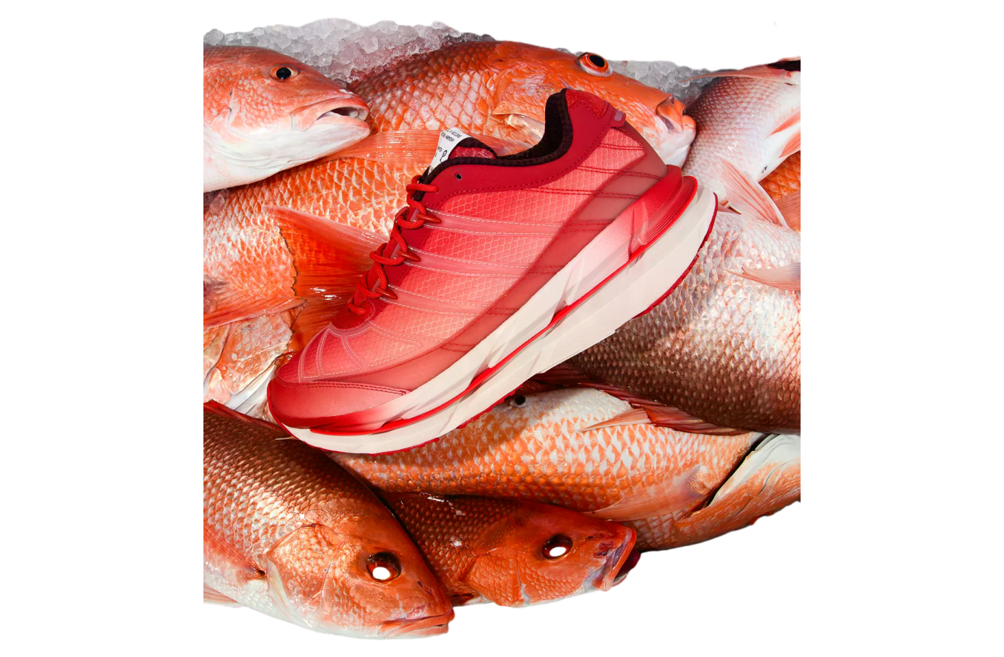 Politics x Adidas Adistar Hrmy Red Snapper