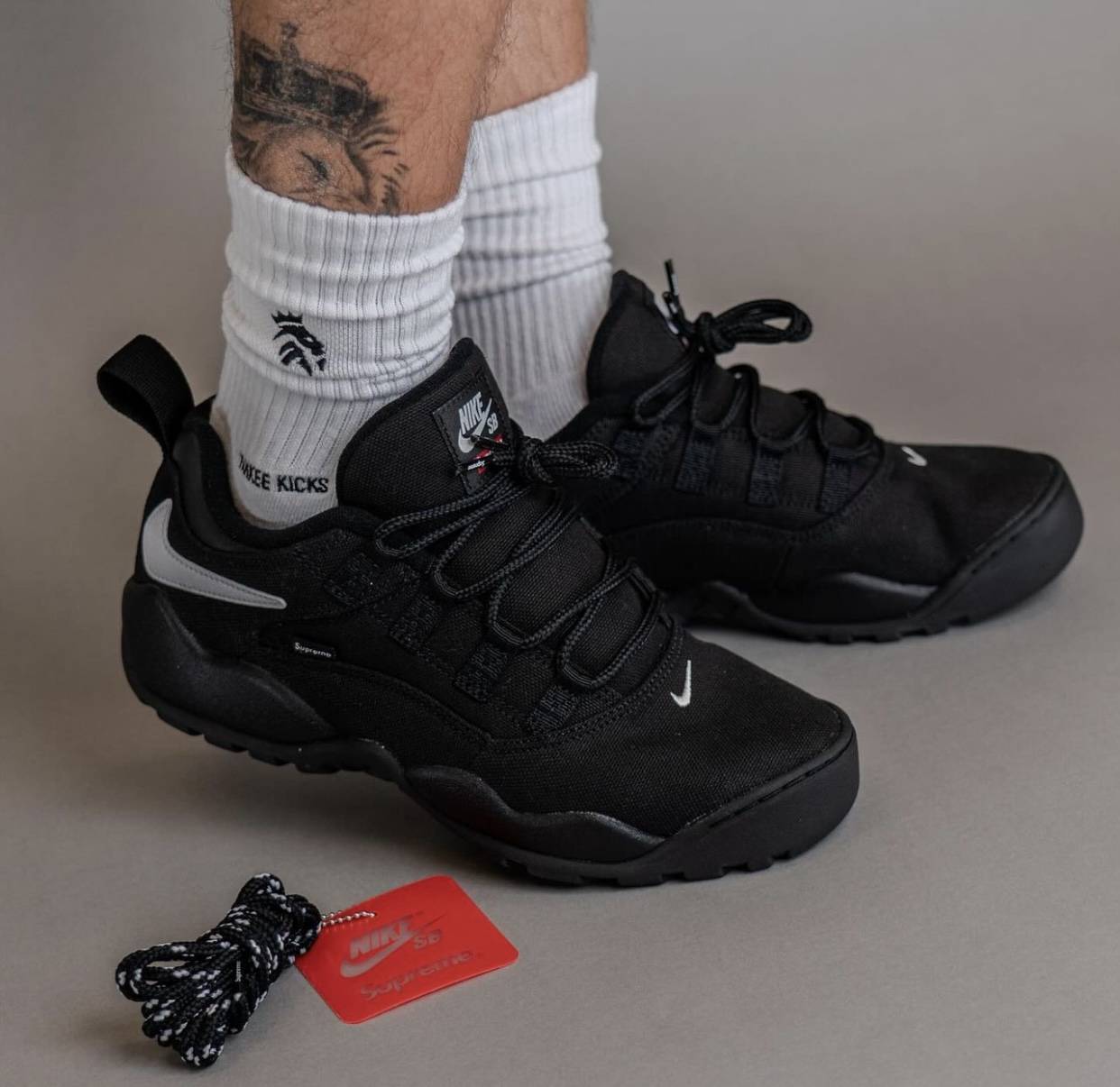 Supreme x Nike SB Darwin Low Black