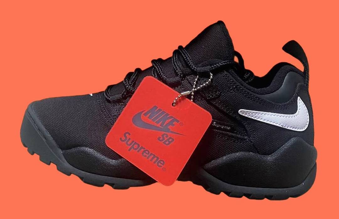 Supreme x Nike SB Darwin Low Black