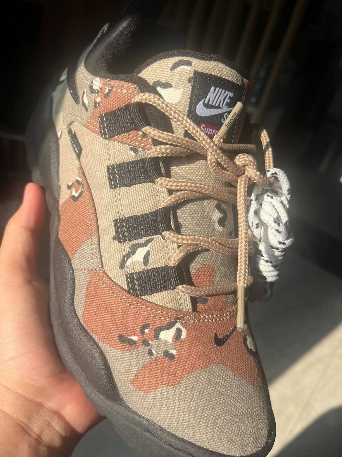 Supreme x Nike SB Darwin Low Camo