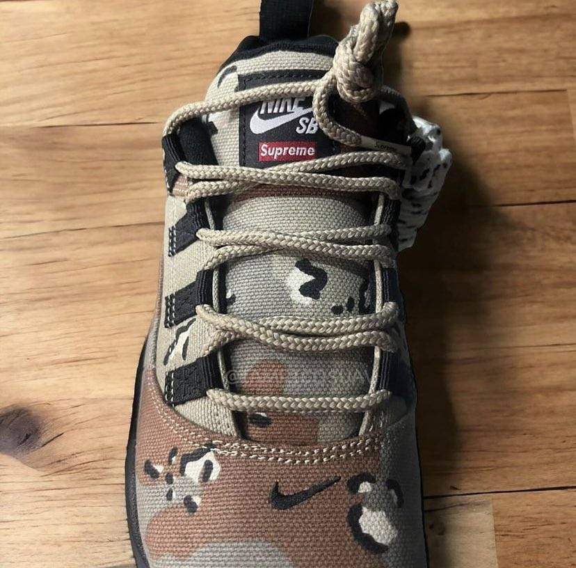 Supreme x Nike SB Darwin Low Camo