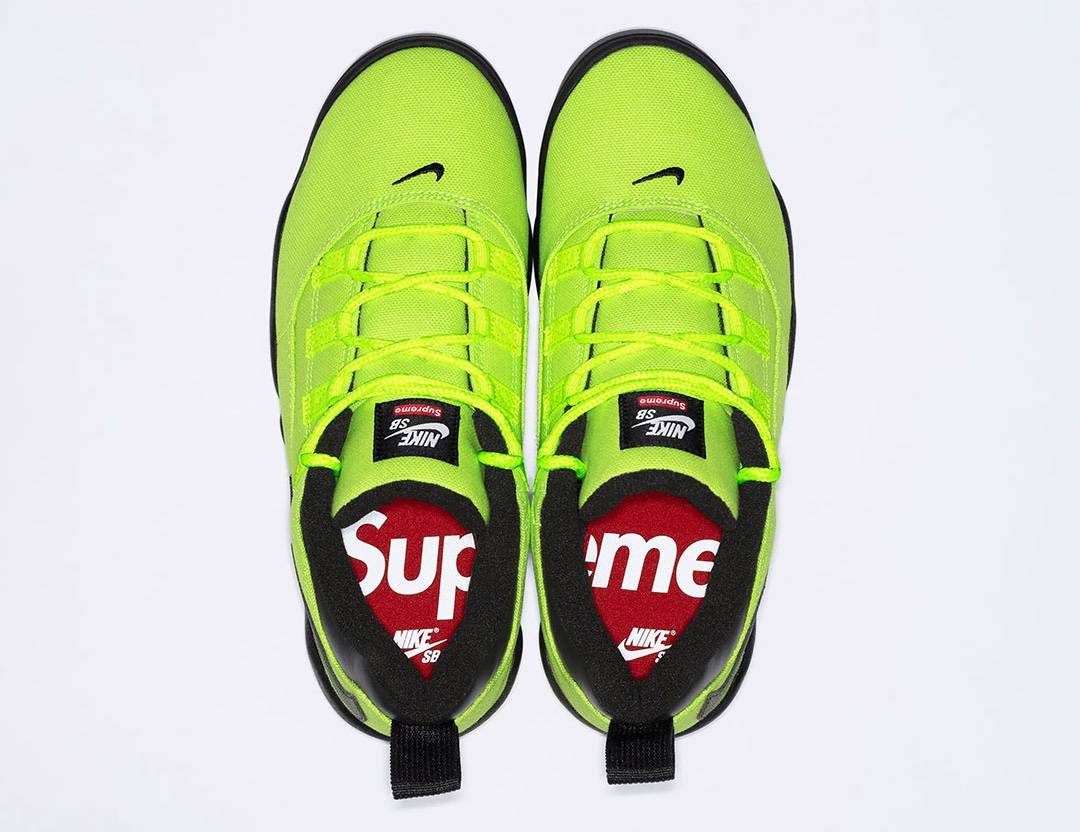 Supreme x Nike SB Darwin Low Volt