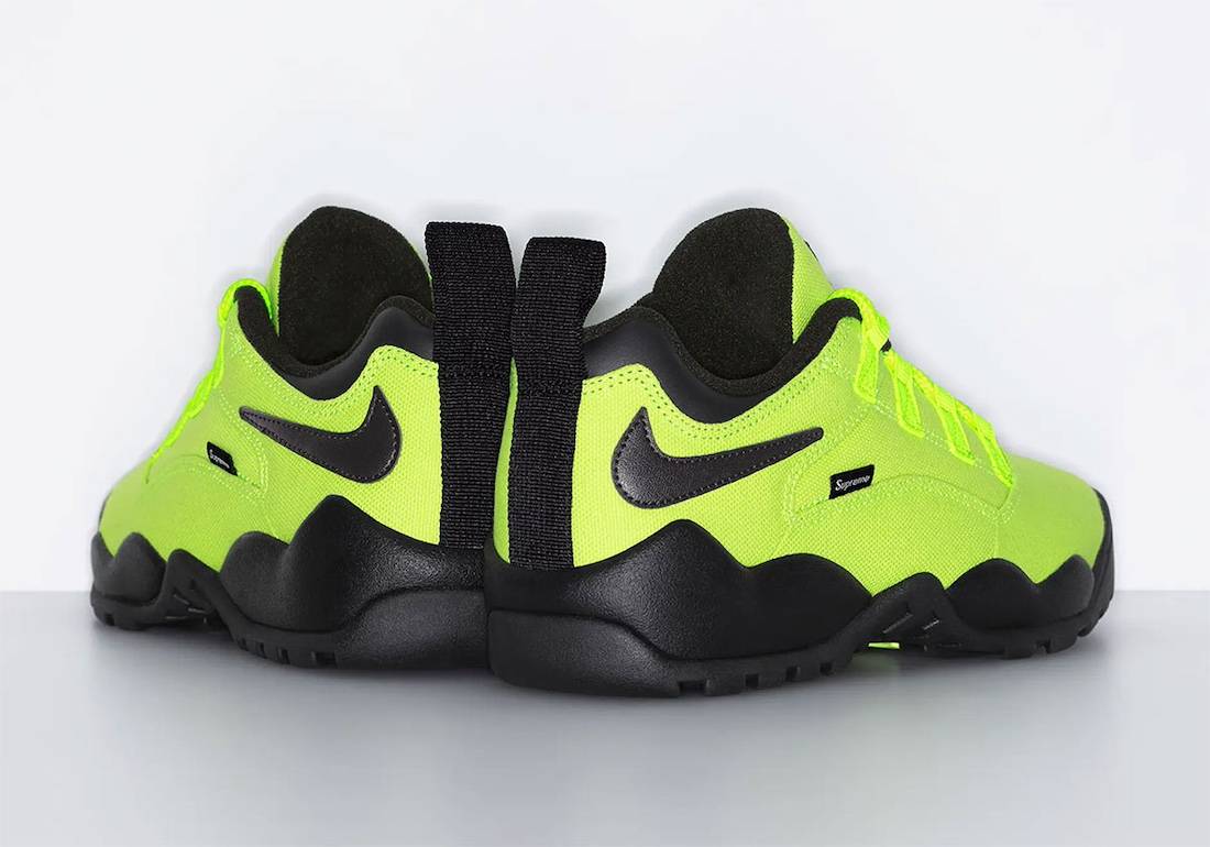 Supreme x Nike SB Darwin Low Volt