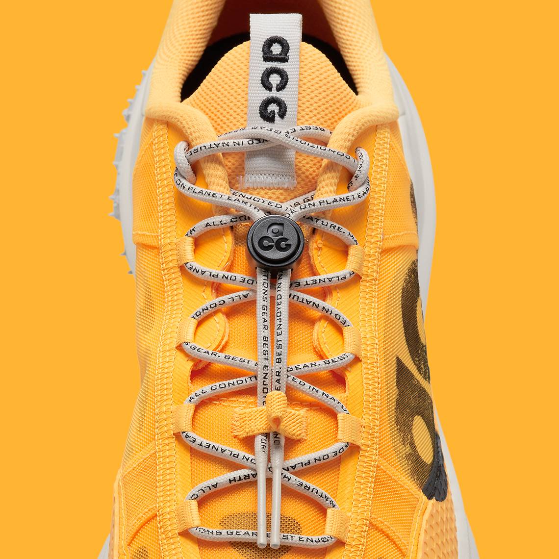 Nike ACG Mountain Fly Low 2