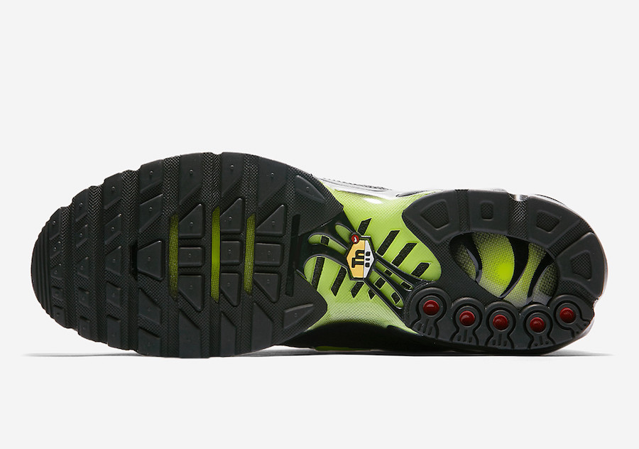 Nike Air Max Plus