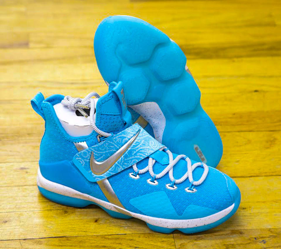 Nike LeBron 14 GS “The Nature Boy”