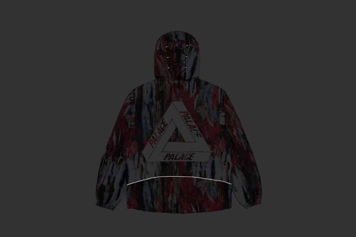 Palace Fall 2021 Hooded Jacket