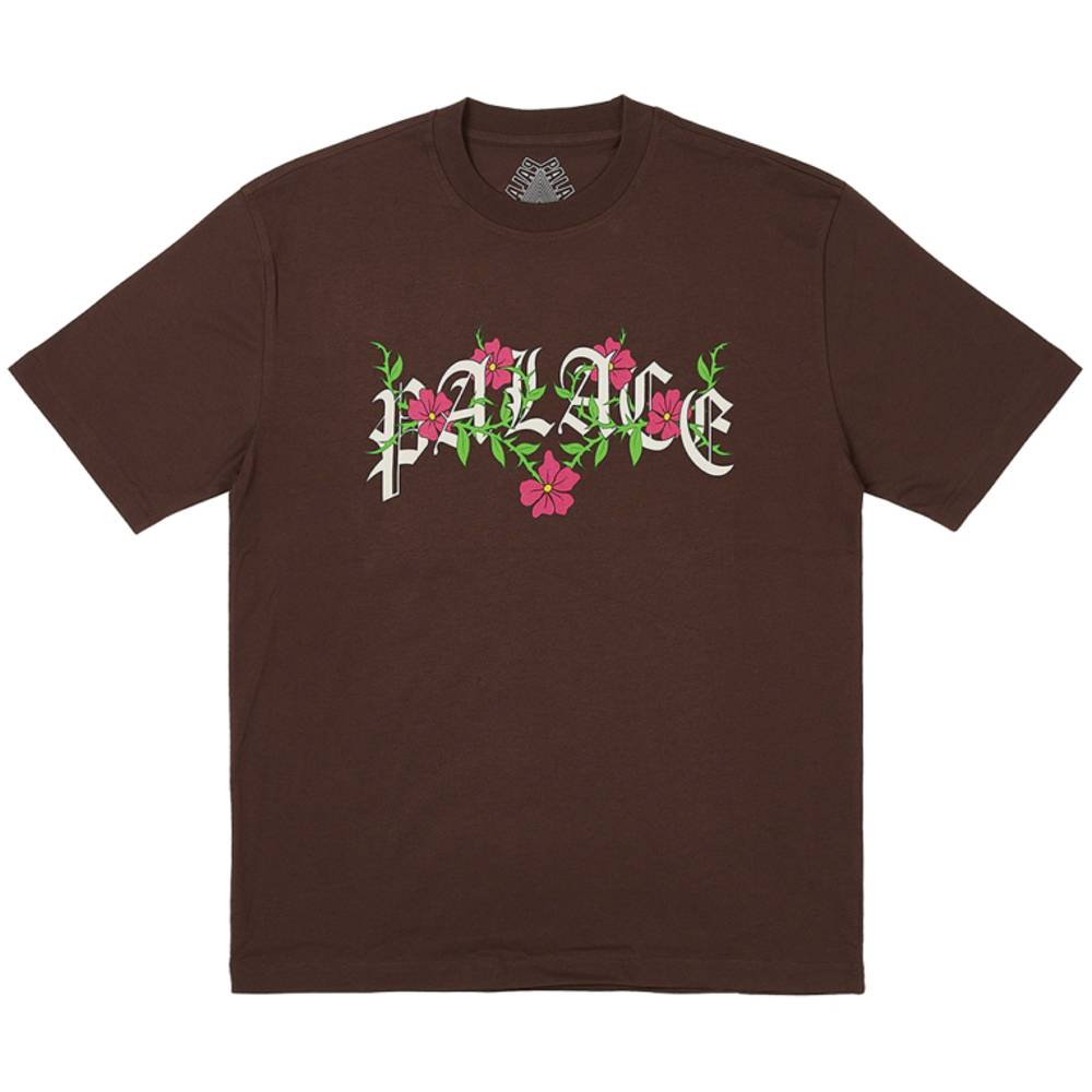 Thorny T-shirt Nice Brown