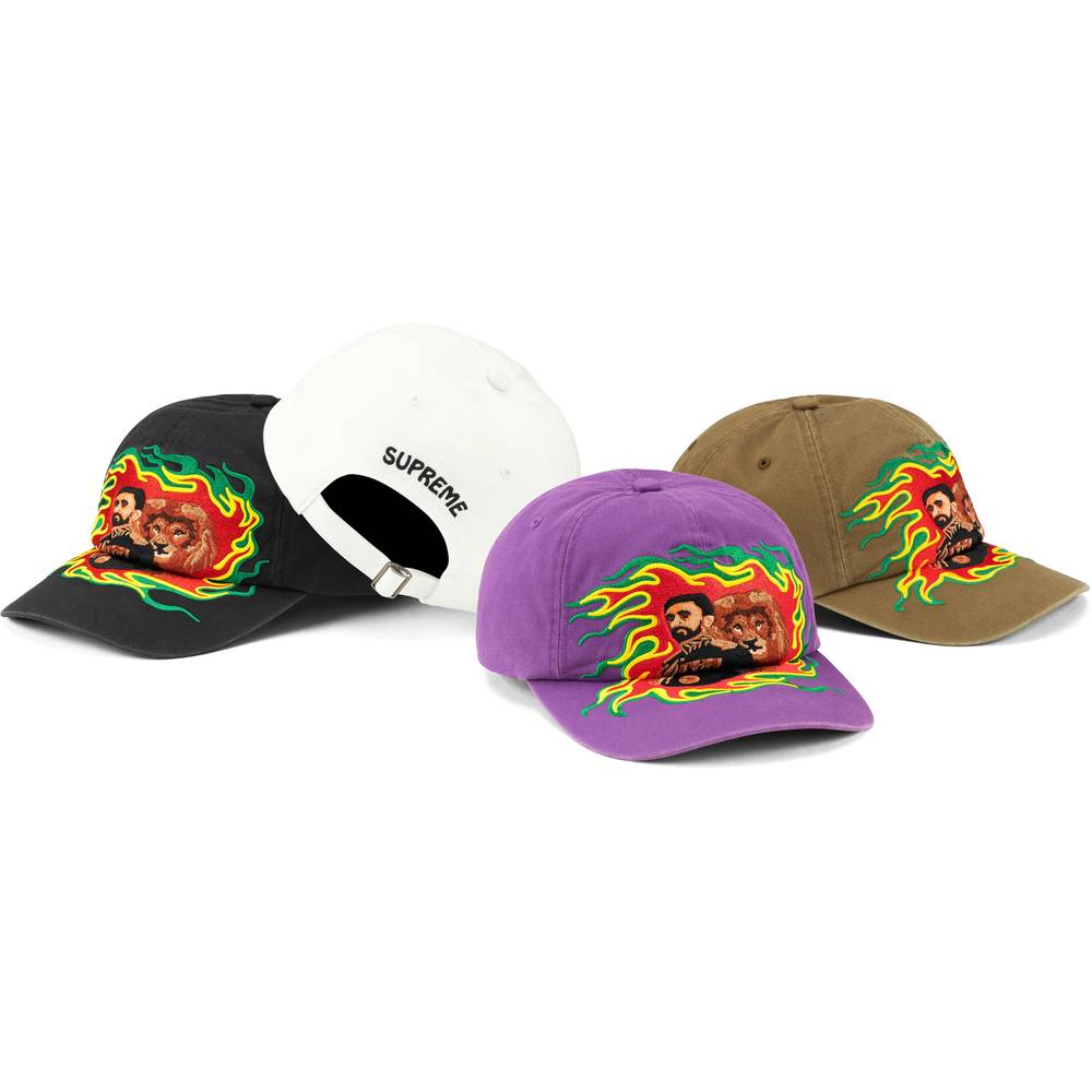 Lion Of Judah 6-panel