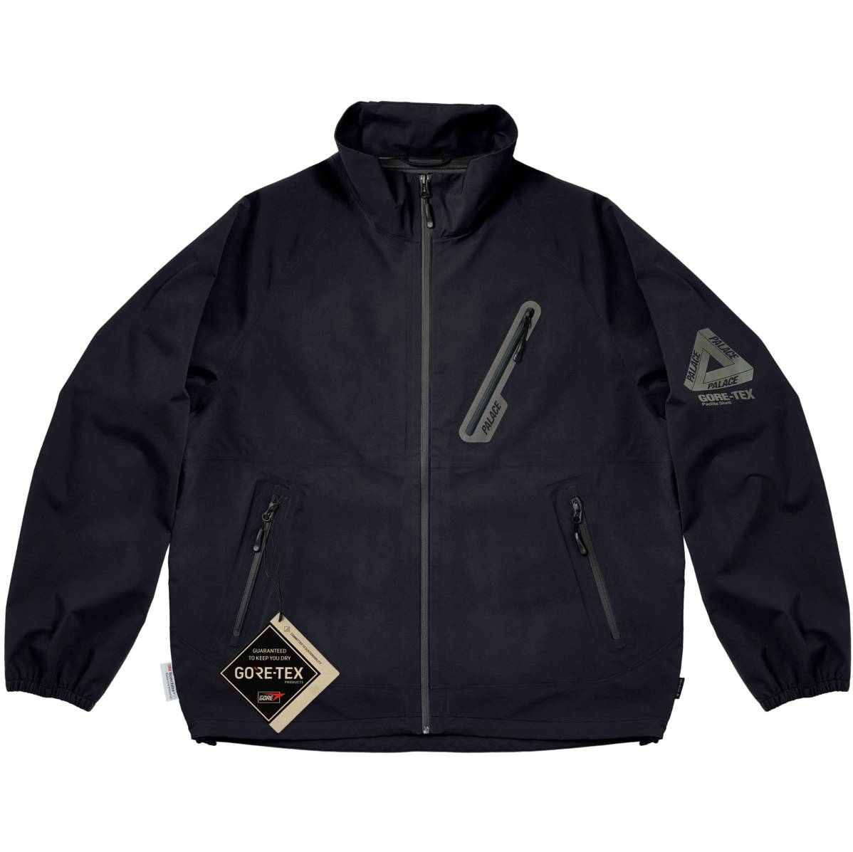 Gore-tex P-lite Jacket Black