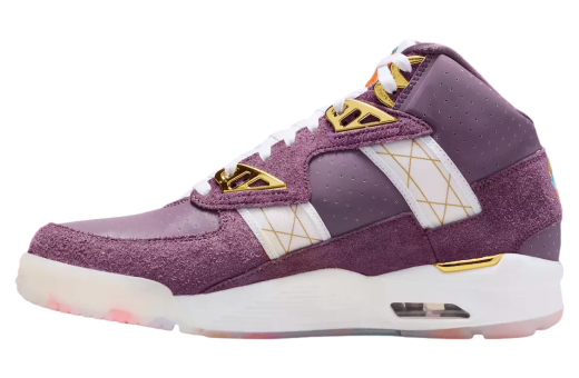 Nike Air Trainer SC Atlanta Olympics 30th Anniversary